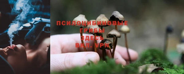 прущие крисы Богданович