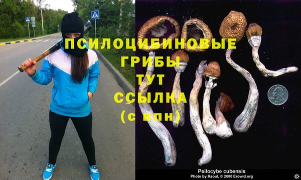 прущие крисы Богданович