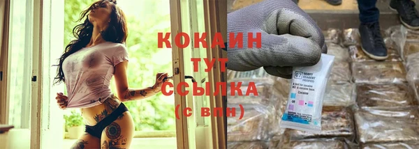 СК Богородск